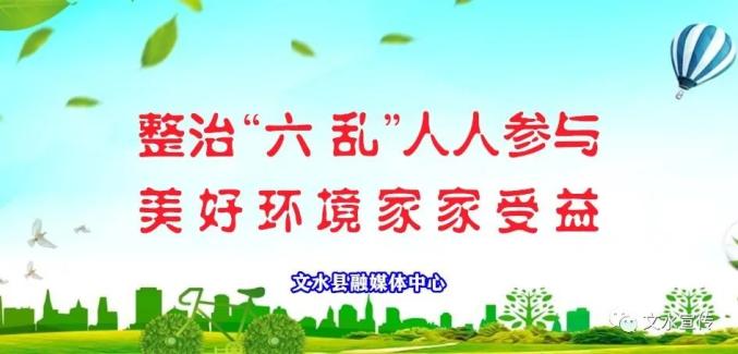 刘振国深入文水督导检查农村人居环境六乱整治工作