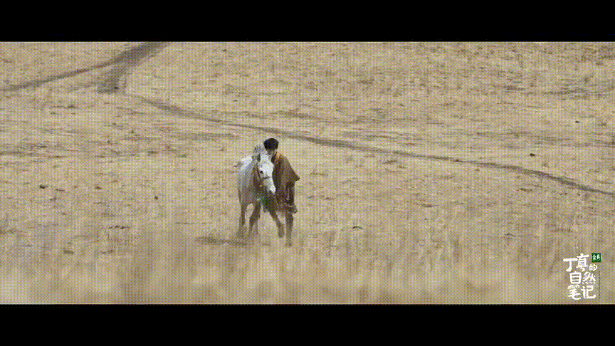 丁真的自然笔记纪录片来了这片雪山秘境再也藏不住了