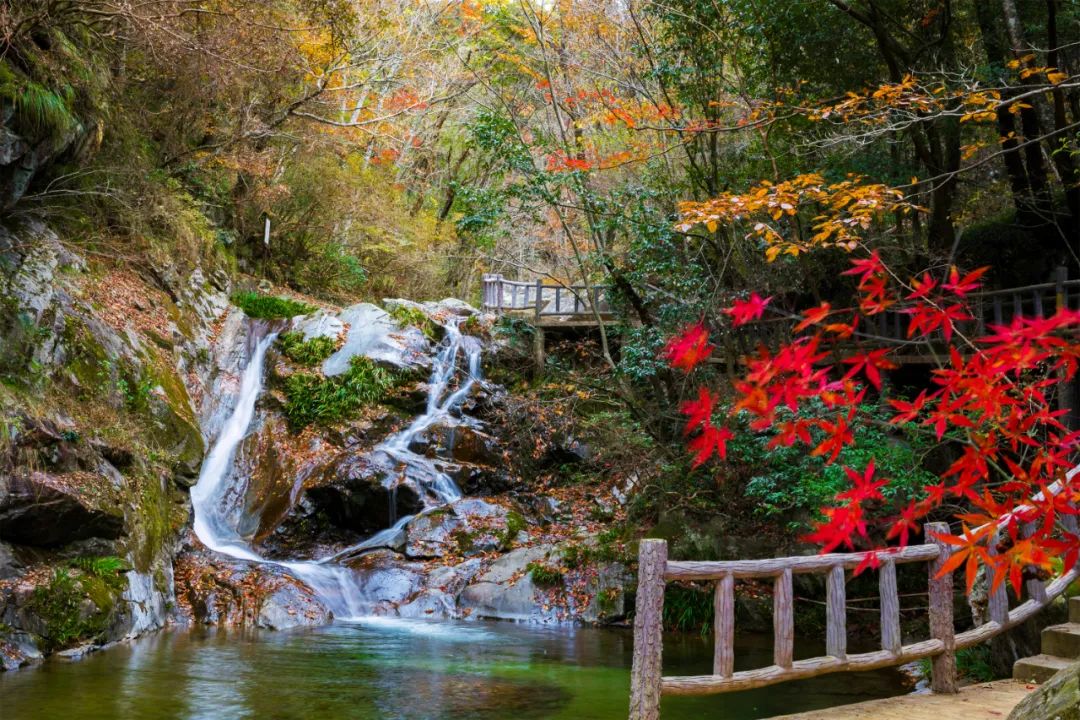 深度游英山系列|桃花入梦寄深情——游静境桃花冲