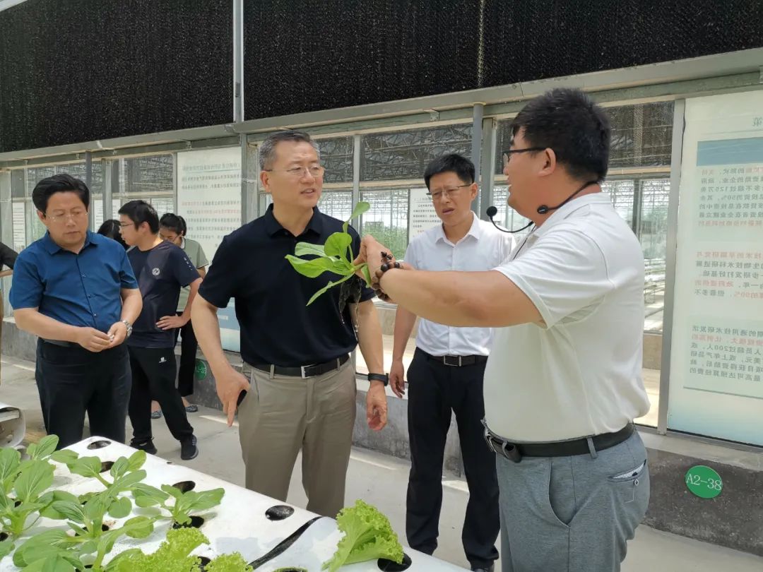 潍坊峡山发布 张龙江一行先后到岞山街道山东新和盛飨食集团,神州姜窖