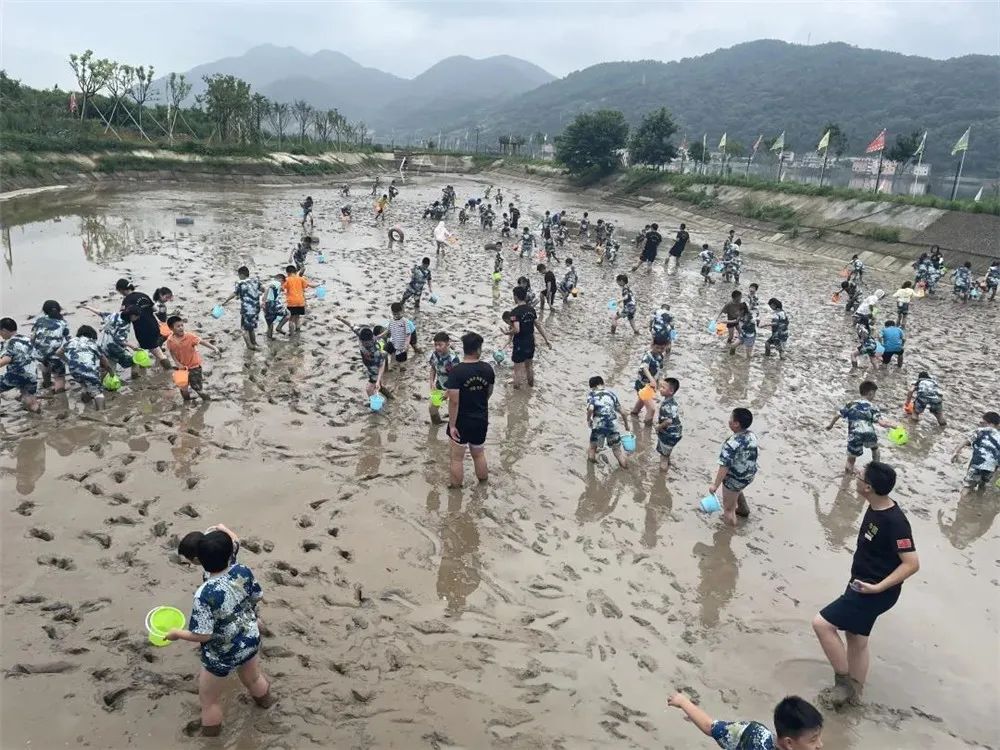 赞象山茅洋获评2021宁波最具人气乡村旅游目的地