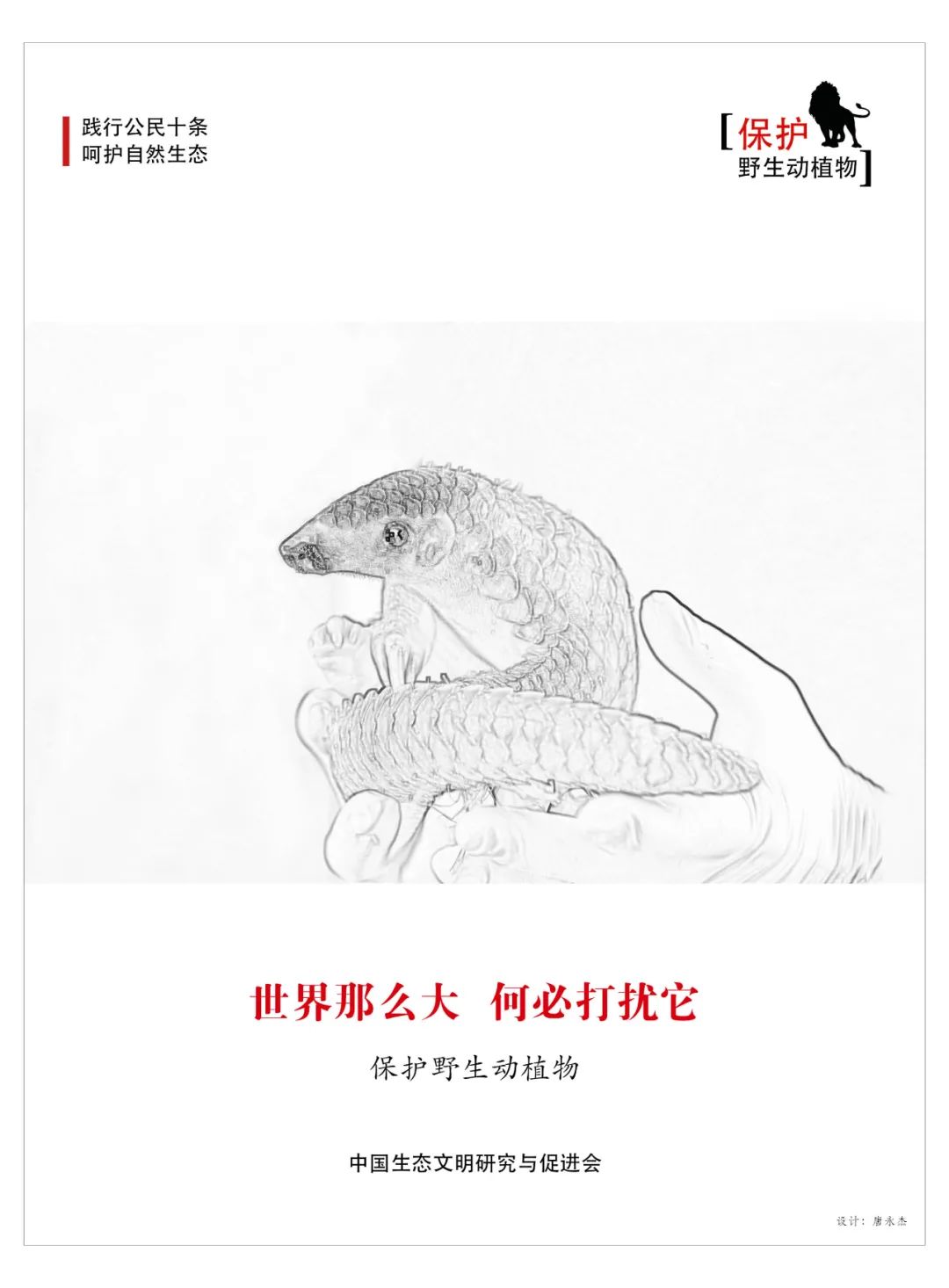 2020优秀生态环境宣传产品73海报呵护自然生态保护野生动物中国生态
