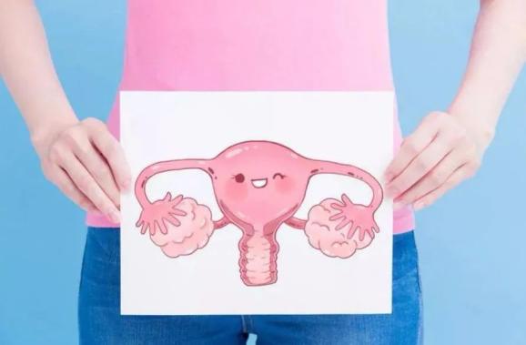卵巢:影响女性身体的八大系统