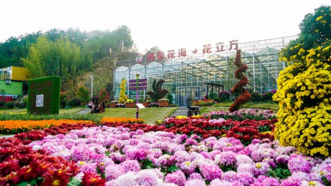 英山四季花海