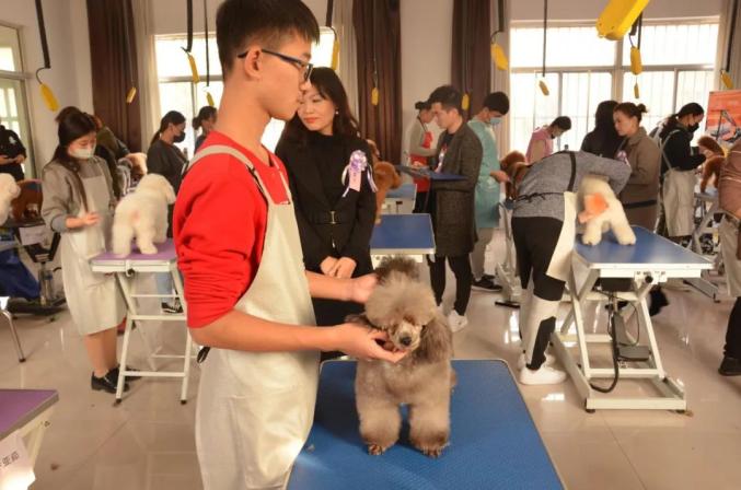 山东畜牧兽医职业学院点开有惊喜