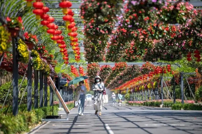 花博文化园明天起开放,门票,交通,餐饮……看这里