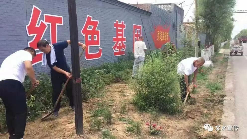 文水宣传 自全县农村人居环境"六乱"整治百日攻坚专项行动开展以来