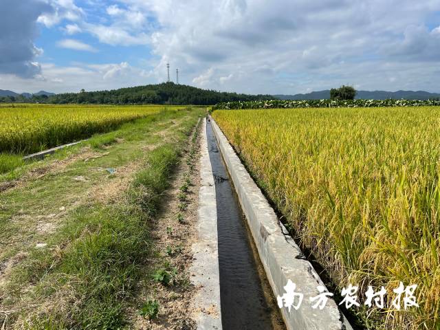 高标水渠设施完好,水流潺潺.