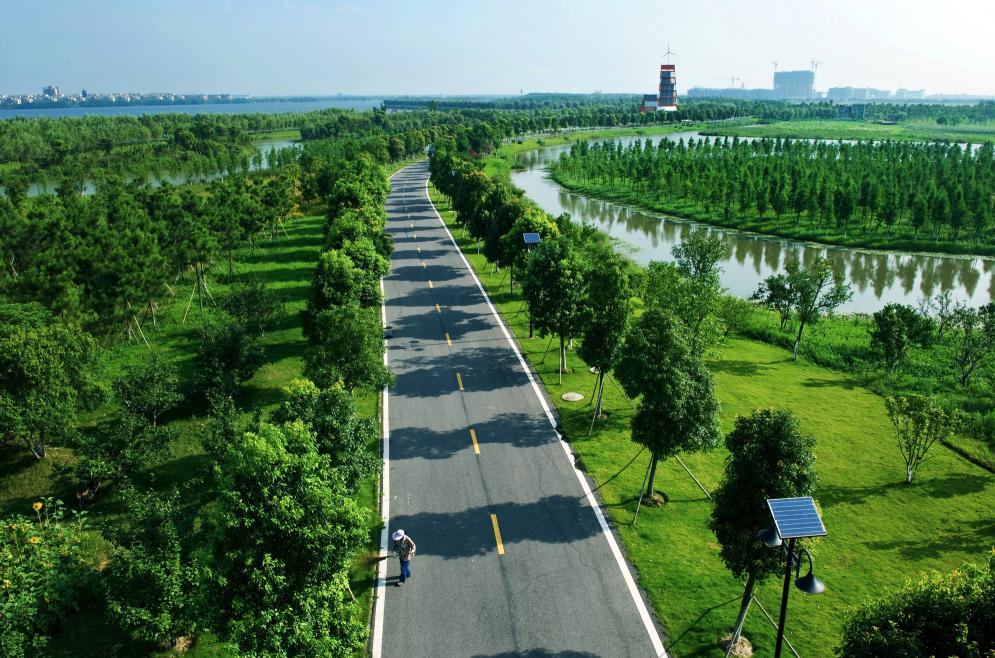 河边,湖边,建筑边 处处绿树繁茂艾溪湖湿地公园,瑶湖郊野森林公园