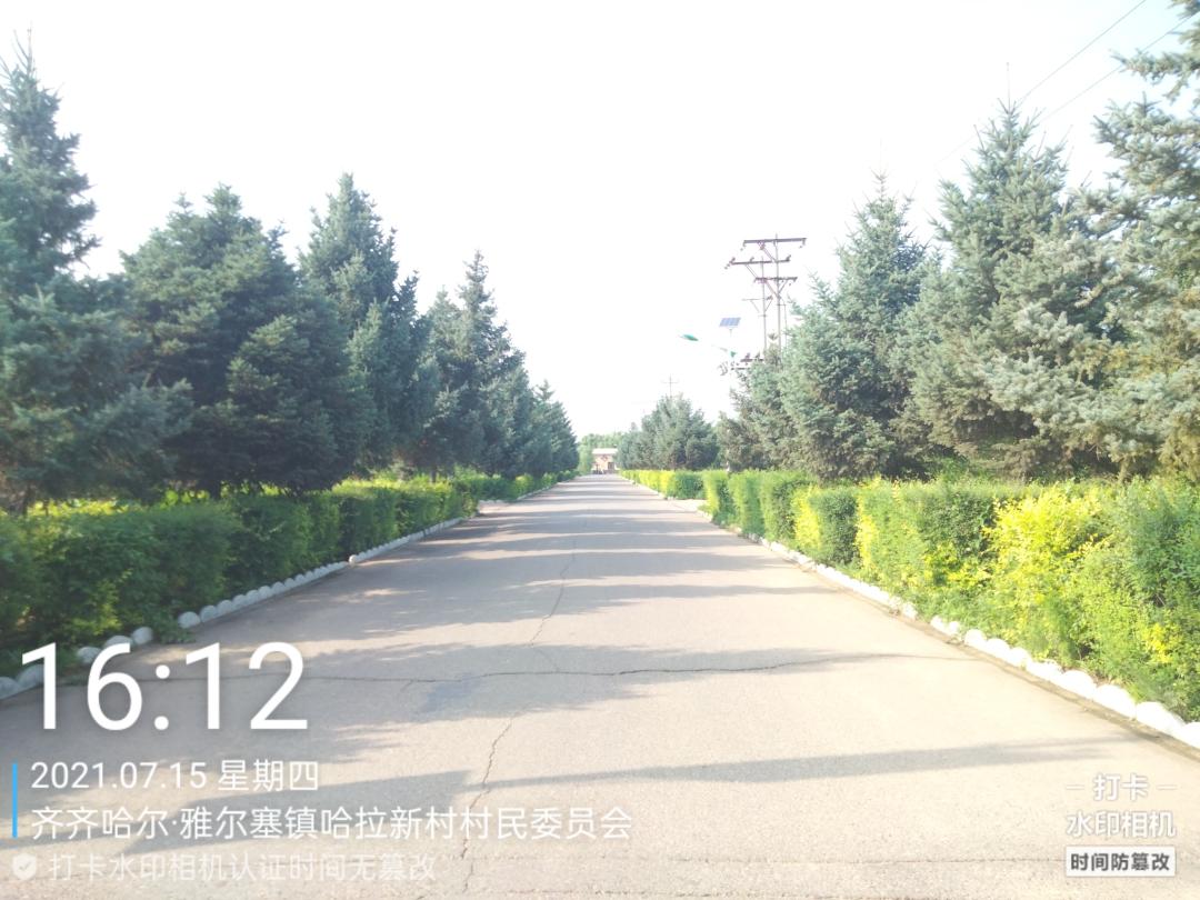 雅尔塞镇—东风村,哈拉新村巷道干净整洁