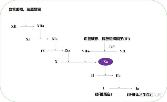 如下图所示(点击可查看大图:低分子肝素的抗凝途径如下图所示,主要