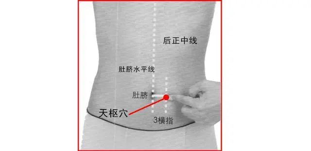 中医说系列科普短视频天枢通肠妙揉腹有诀窍