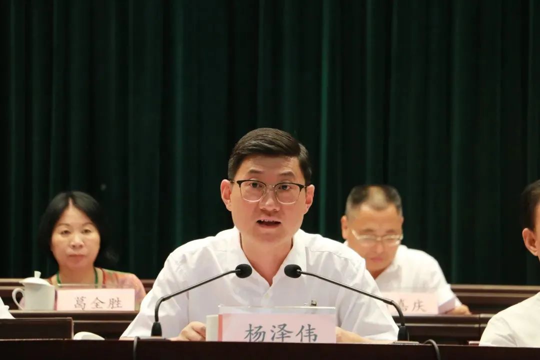 杨泽伟指出,过去五年,民进临安区委会在中共临安区委和民进杭州市委会