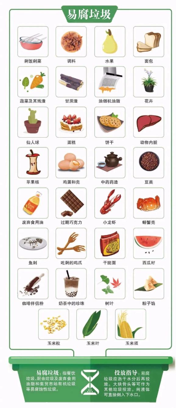 澎湃号>西蜀巧妹> 二,绿色桶为易腐垃圾:包括剩菜剩饭,骨头,菜根菜叶
