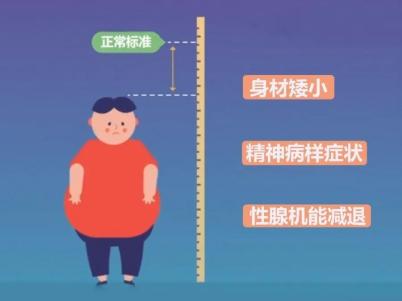 孩子过度肥胖?可能是一个罕见病!