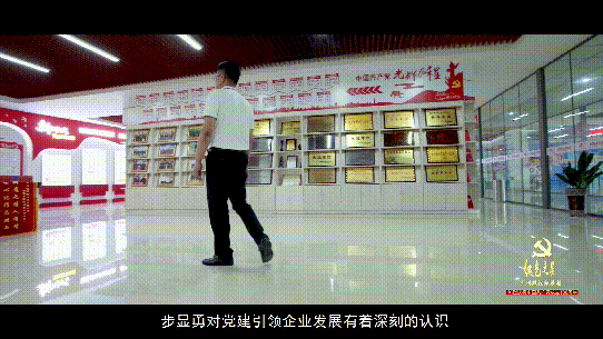 百年辉煌e心向党党在我心中红色之星步显勇
