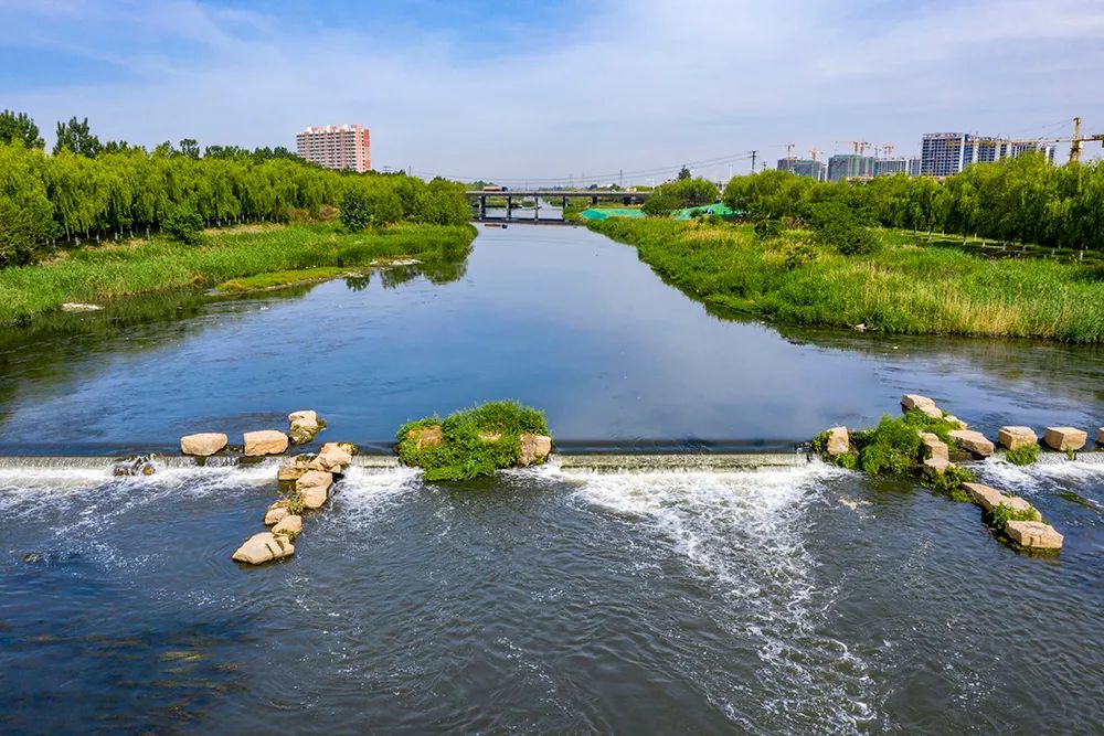 拍摄于2021年5月 作者:栾城区摄影家协会(08)美丽的洨河湿地之一拍摄