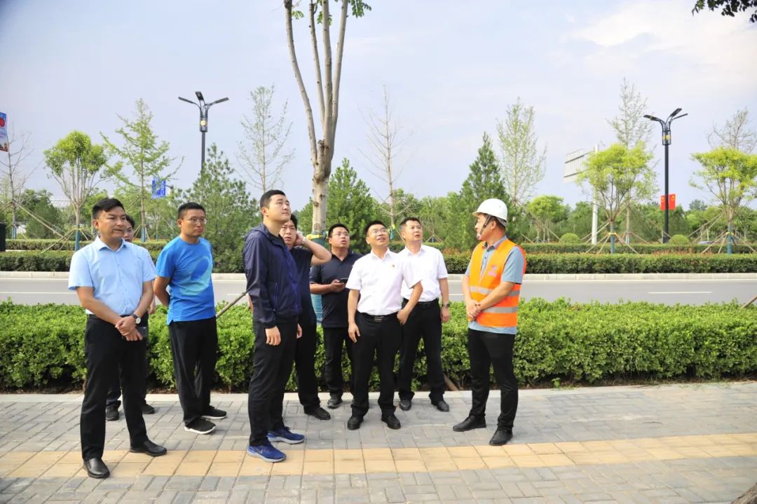副区长罗保现,区政府办,农业农村局,邙山街道,洛浦街道,金隅城公司