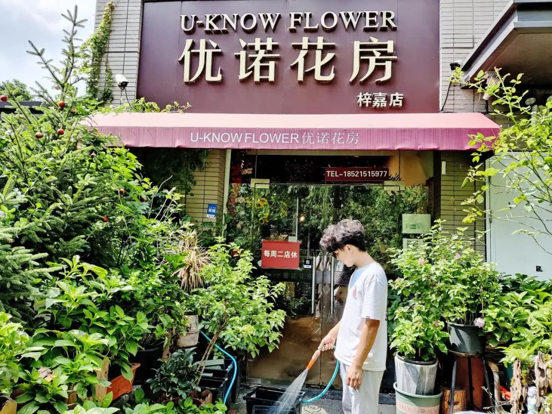 帮我留着为何这家花店让居民争先恐后抢购