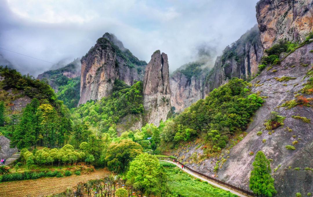 国家森林公园辖区内有净名,灵峰,灵岩,大龙湫,雁湖等五个林区9个护林