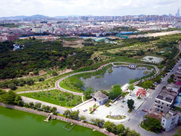 推窗见绿出门进园东城桑园建成三个口袋公园