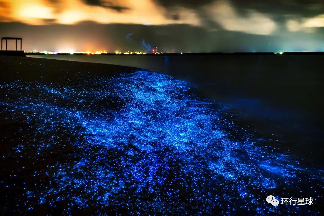 这个国家,真的如天堂般美好?