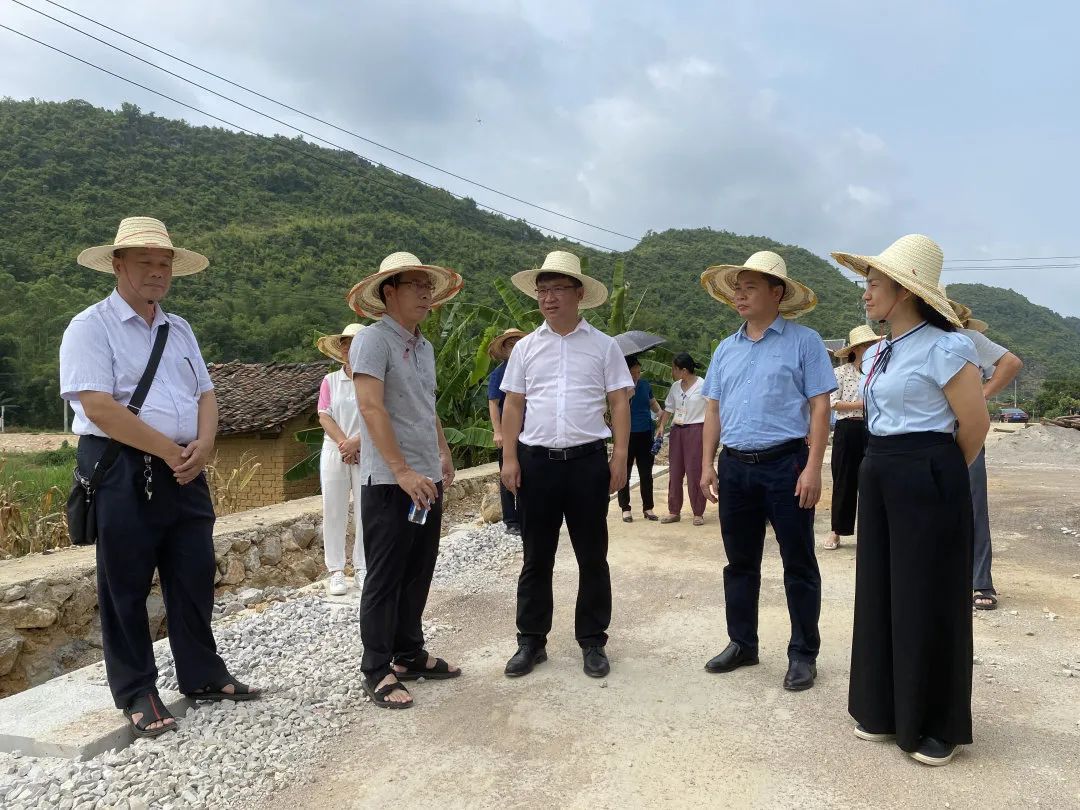 莲藕种植基地,思灵镇灵池村"双高"基地,禄新镇上堂村稻虾轮作养殖示范