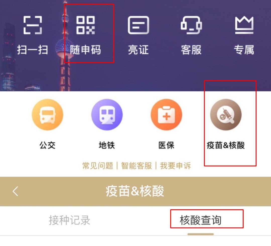 点击下载→随申办市民云app