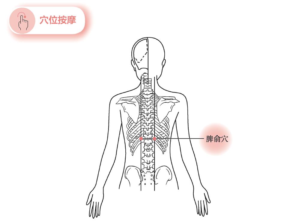 缓解劳累,改善暗淡肤色,按按脾俞穴