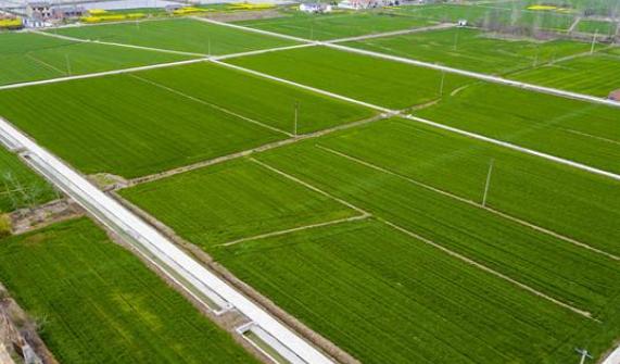 程传兴:加强高标准农田建设 提升粮食生产能力