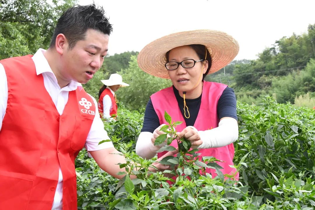 我为妇女办实事丨爱心助农采摘彰显帮扶温情