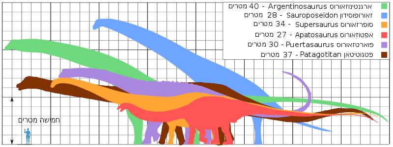 龙(sauroposeidon)红:迷惑龙(apatosaurus)橘:超龙(supersaurus)紫