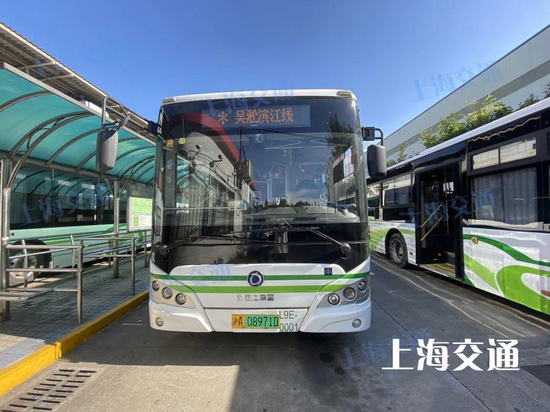 绿的红的黄的蓝的黑的白的粉的上海公交车竟然有这么多色号