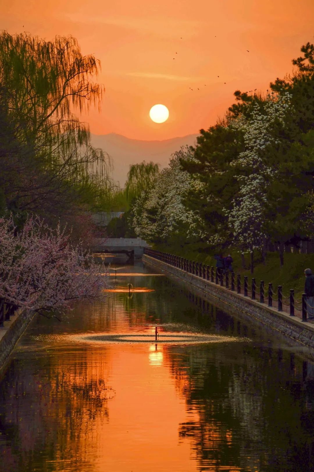 霞漫星散,日月其中;春夏秋冬,朝朝暮暮…又是一年七夕至,金风玉露