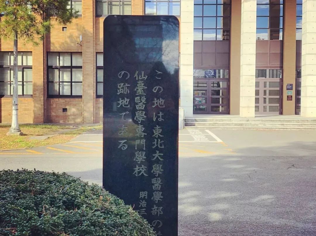 兴趣,他想写的—或者说他想丰满,想创造的,只是仙台医专时期的鲁迅