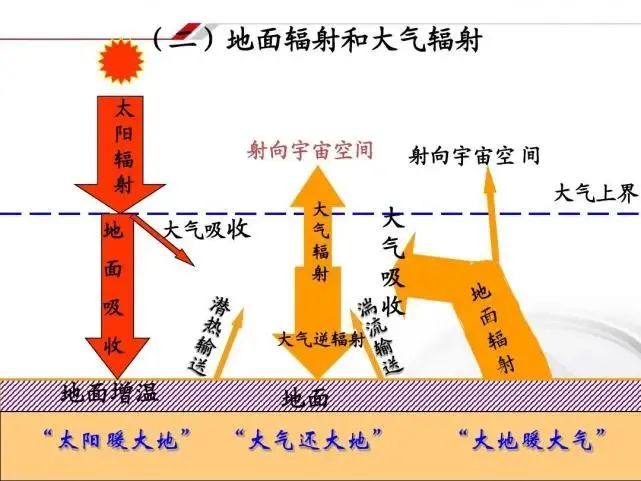 研究揭秘:"二师兄"是怎样用鼻子拱遍地球,改变世界的