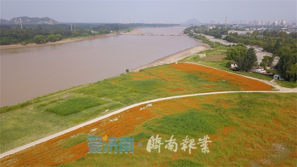 泉视界百里黄河风景区再添星空花海新景点