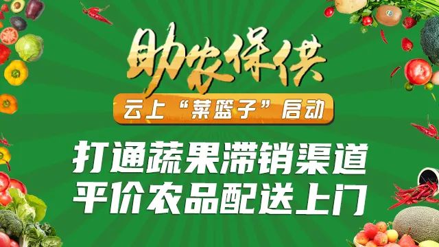 大庆菜农速看四大电商平台云上菜篮子帮您卖菜了助农热线戳进看↘