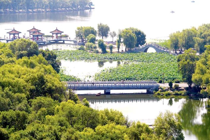 走进漂亮街区 | 南湖公园休闲娱乐街区:碧湖如诗画 荷香扑面来