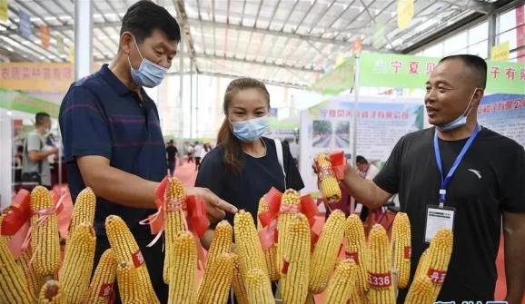 种子法将修改!拟从源头解决种子同质化问题