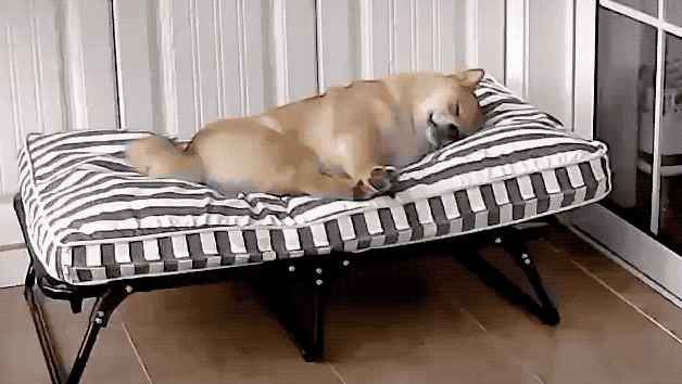 一女生睡姿不对致脊柱侧弯睡觉究竟侧卧好还是平躺好真相竟是