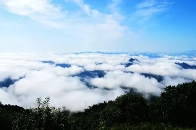 那些缠绕在半山的云雾,又像是系在山腰间的一条条玉带,山在云中矗立