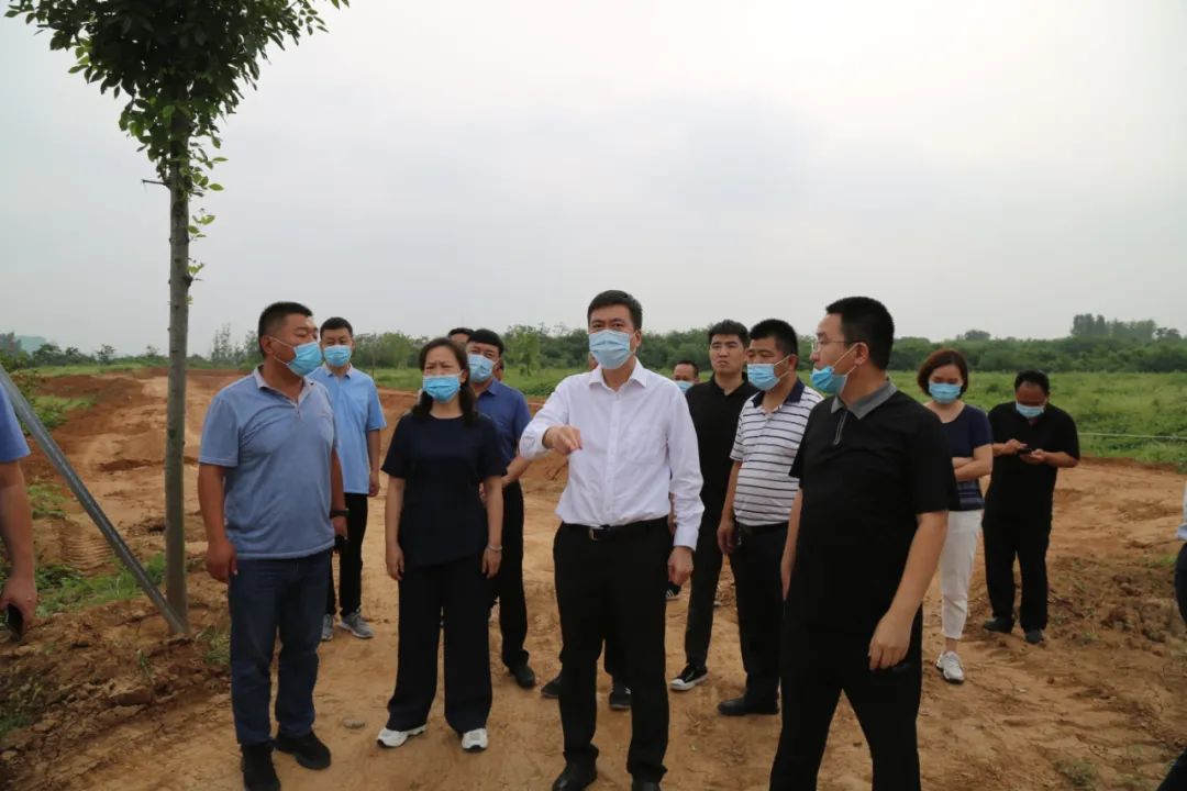 王进调研河渠治理