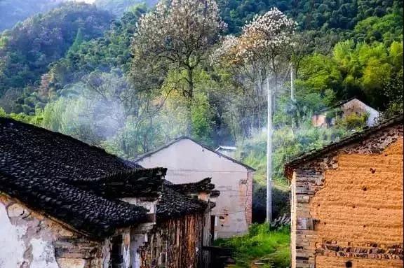 站在高处,俯瞰村落更是一番别样的风景推荐路线:高坑村-张村原标题