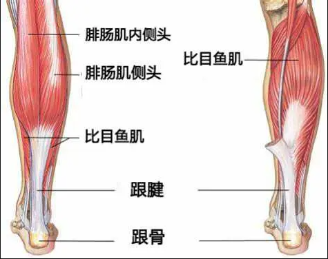 小腿神经离断瘦腿手术不能再做了国家卫健委已发文叫停