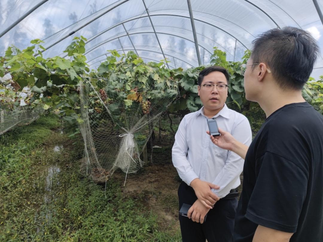 潘麒从单一的农业技术工种转型成为农业,运营和推广兼具的"白领"