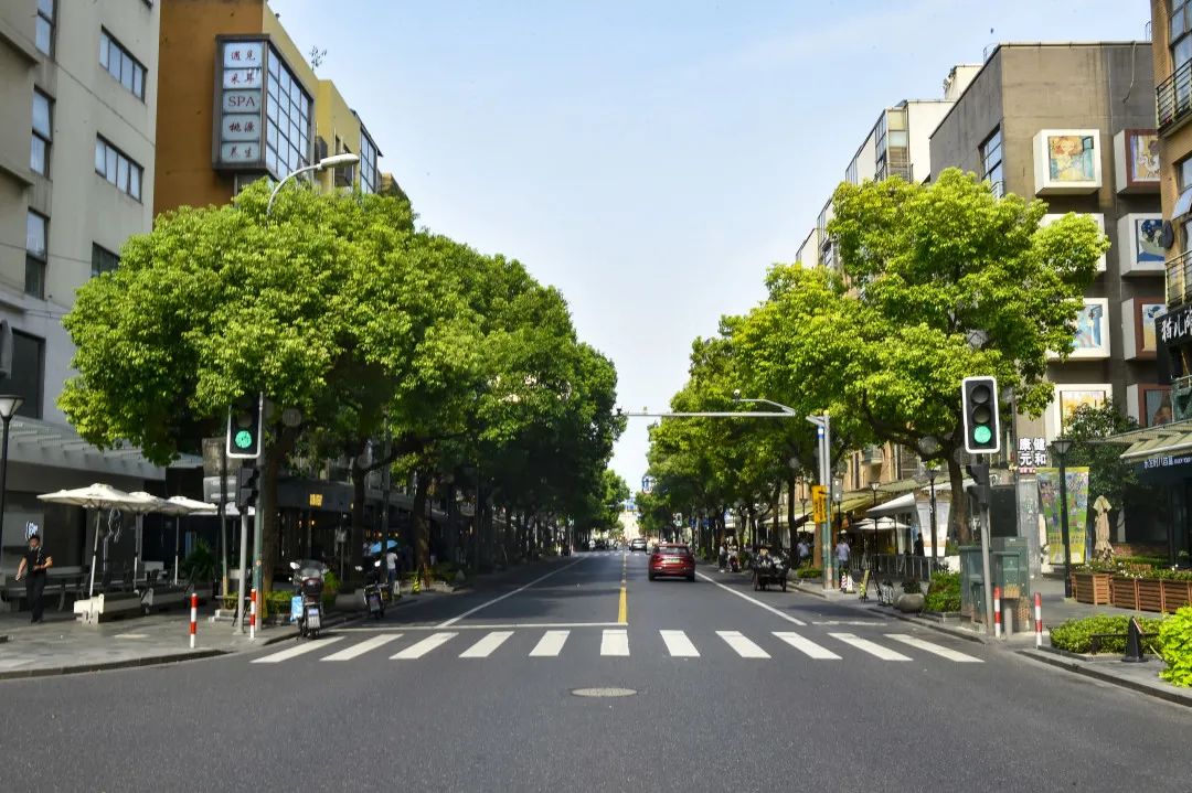 趤趤马路杨浦这条小马路好逛又好拍