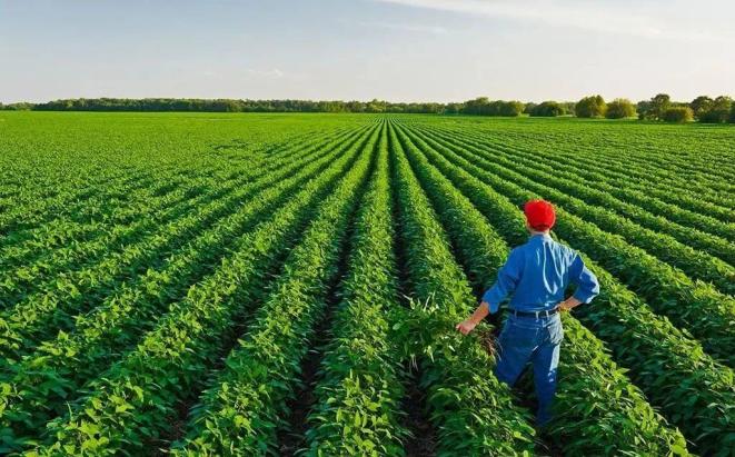三农日报政策支持社会资金投资绿色农业业内富硒产业潜力巨大海大集团