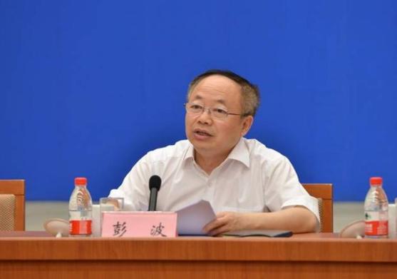 彭波被逮捕
