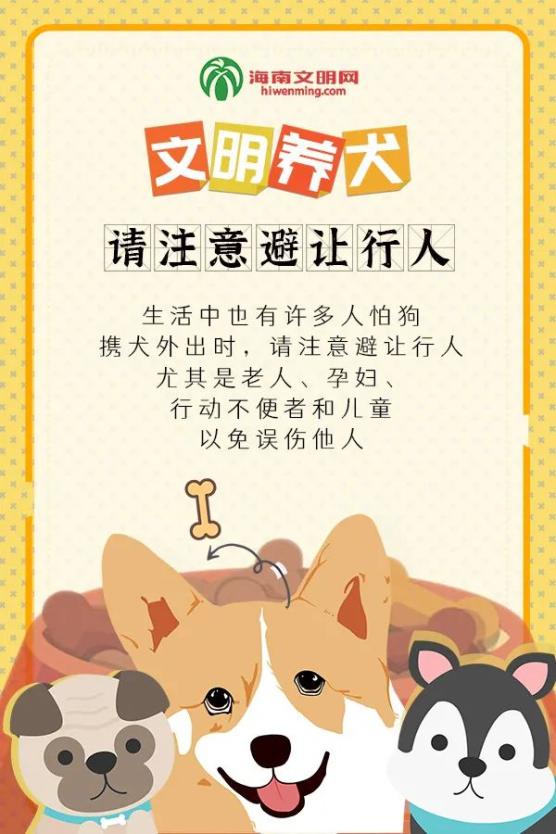 文明养犬 |做文明养犬人,我们应该这样做